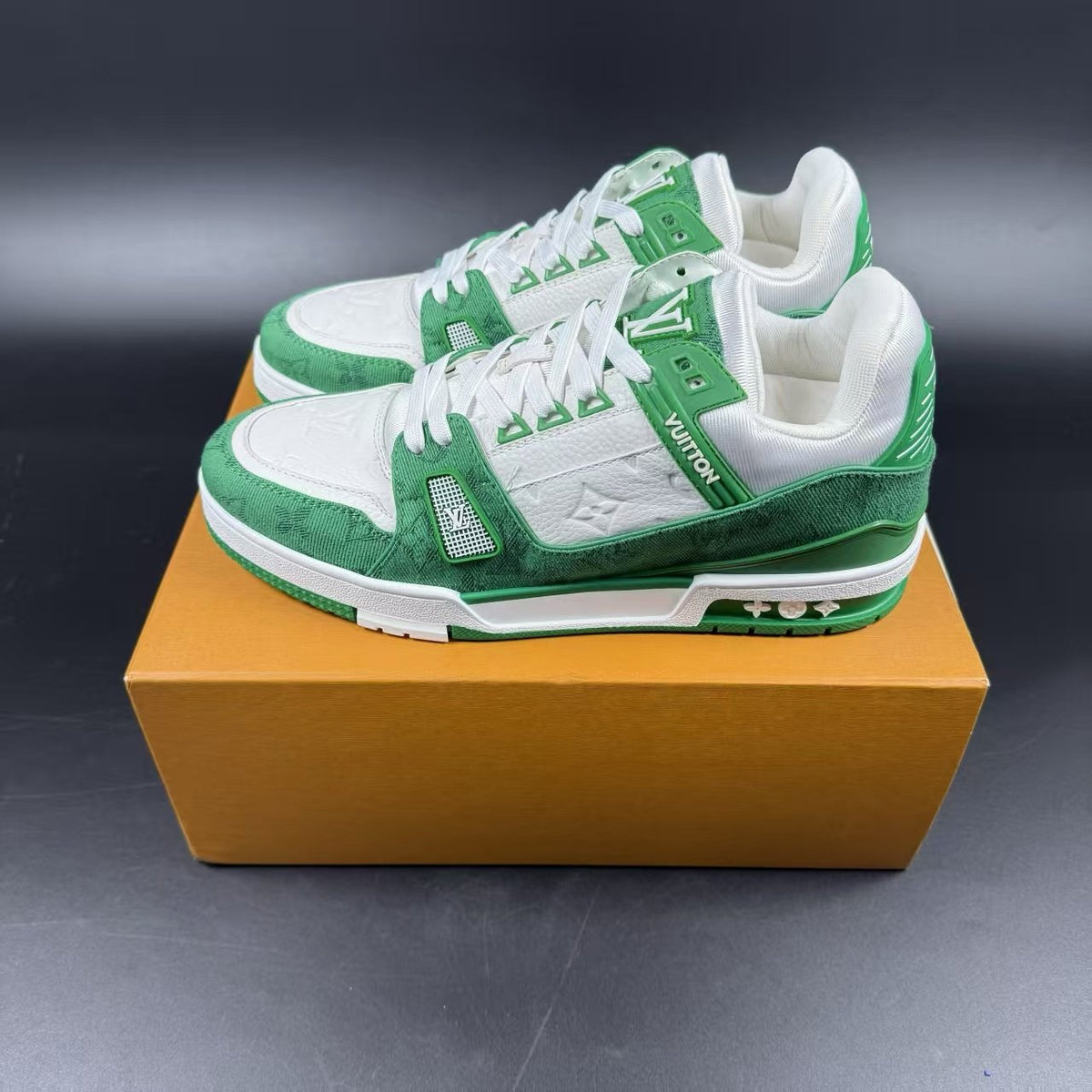 LV TRAINER