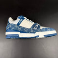 LV TRAINER