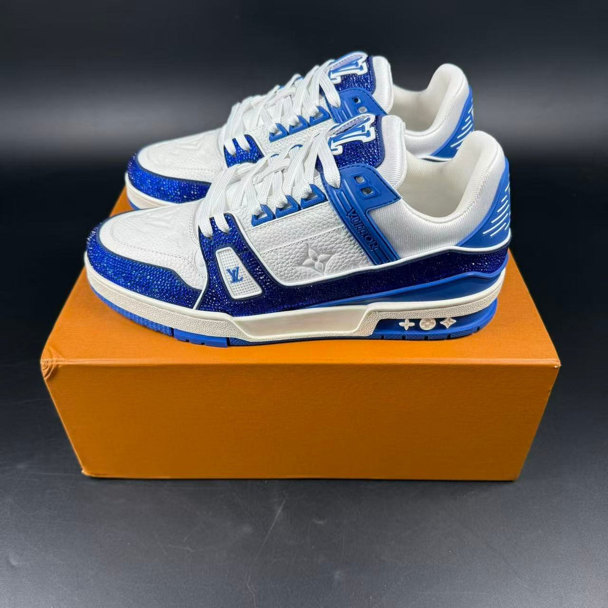 LV TRAINER