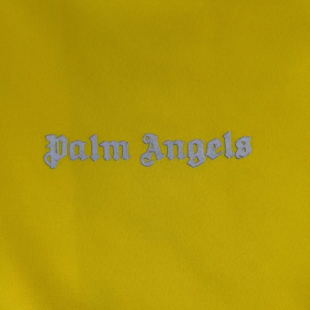 GIACCA PALM ANGELS
