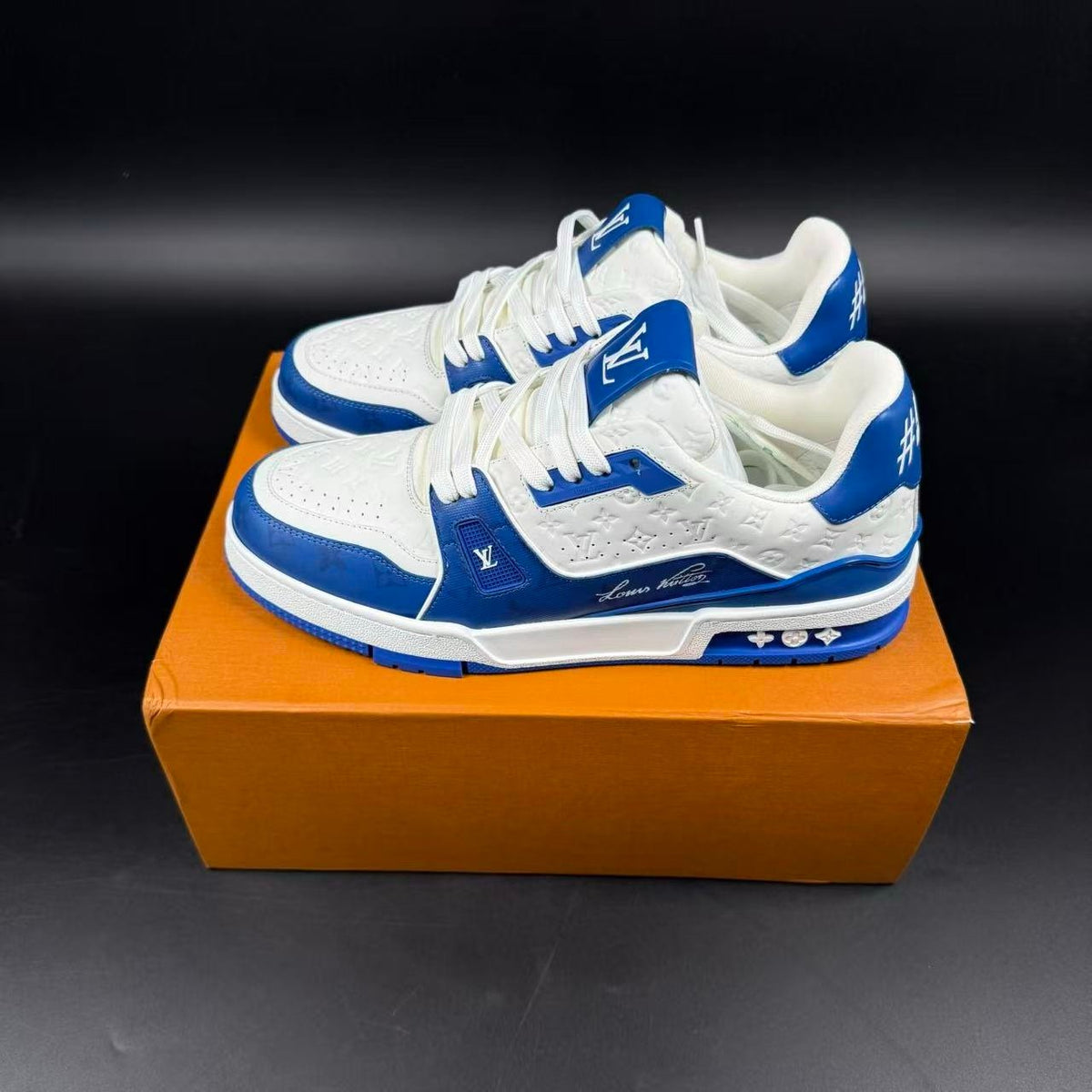 LV TRAINER