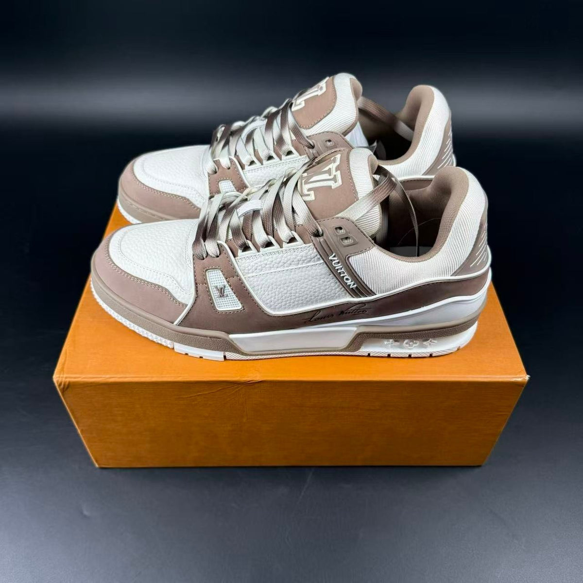LV TRAINER
