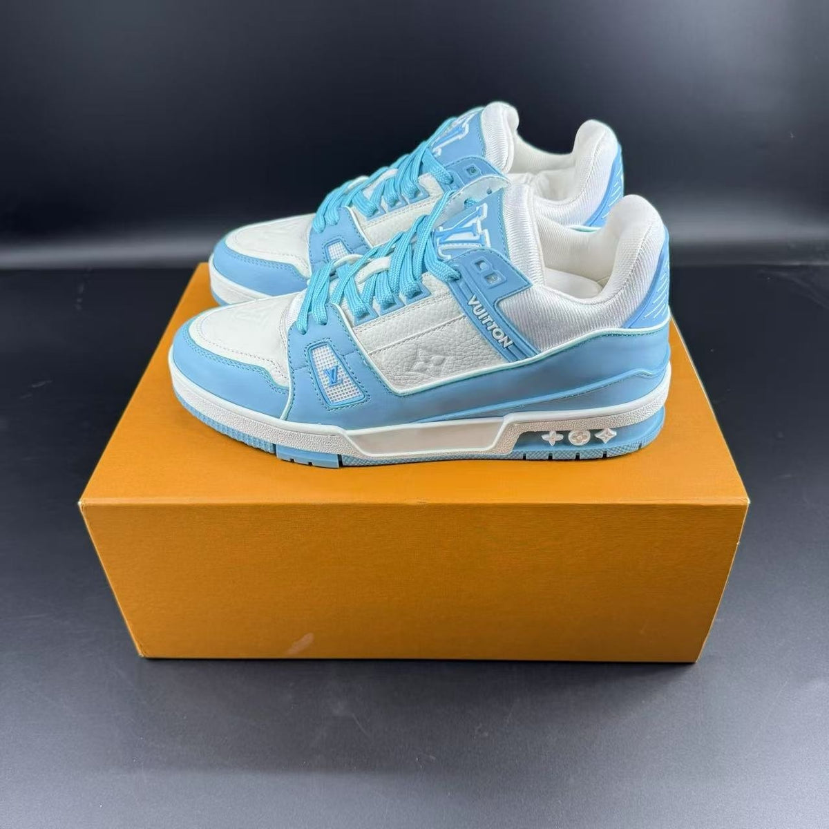 LV TRAINER