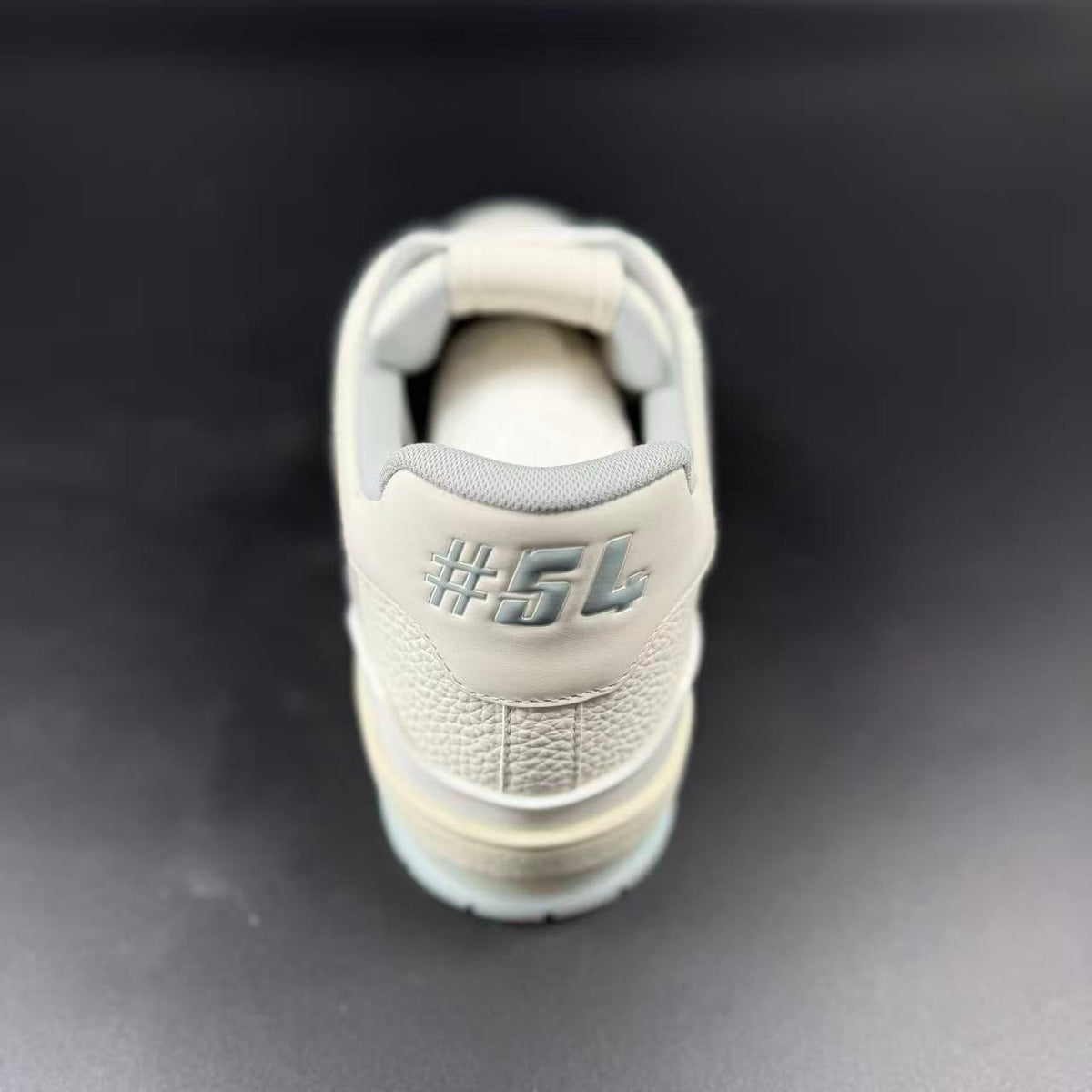 LV TRAINER