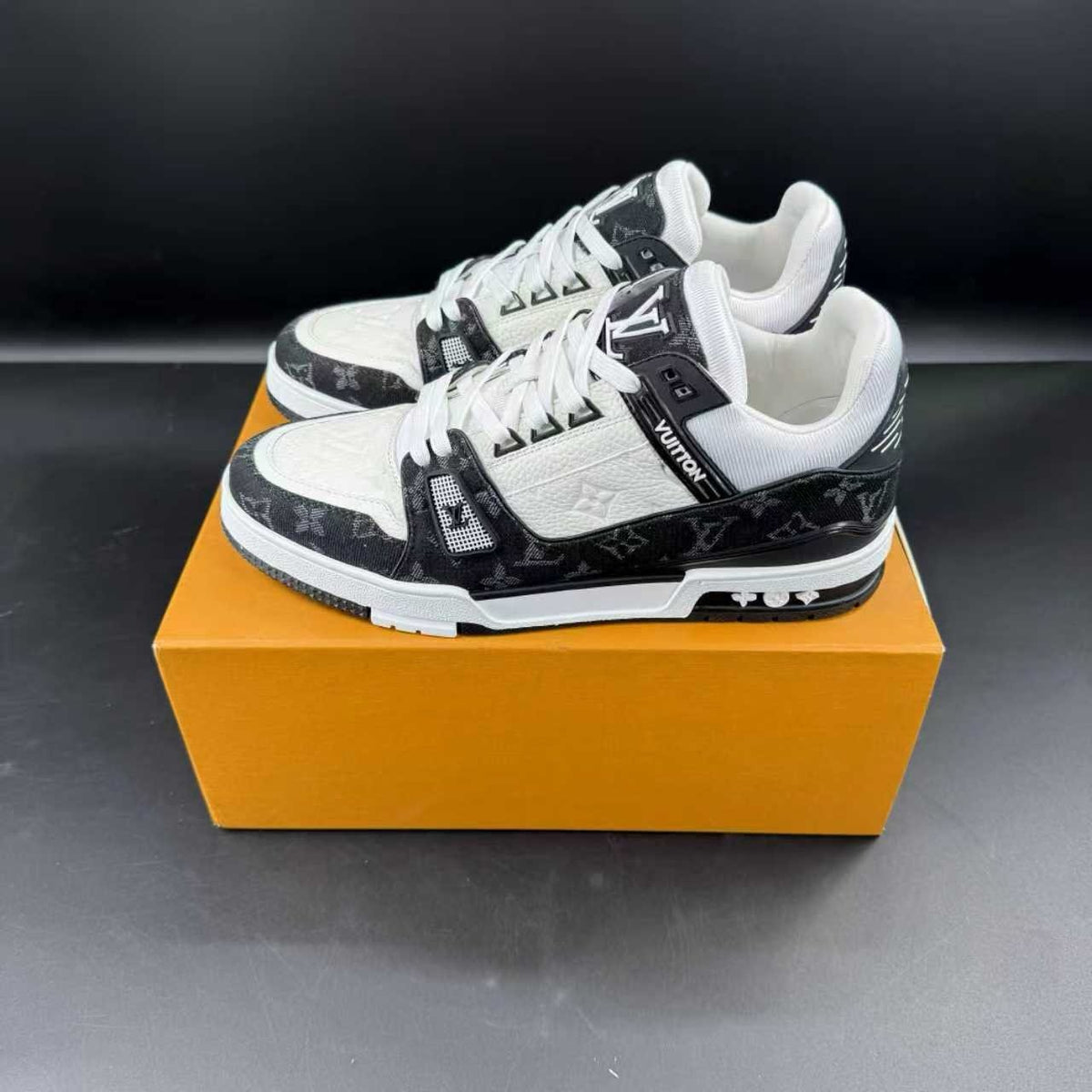 LV TRAINER
