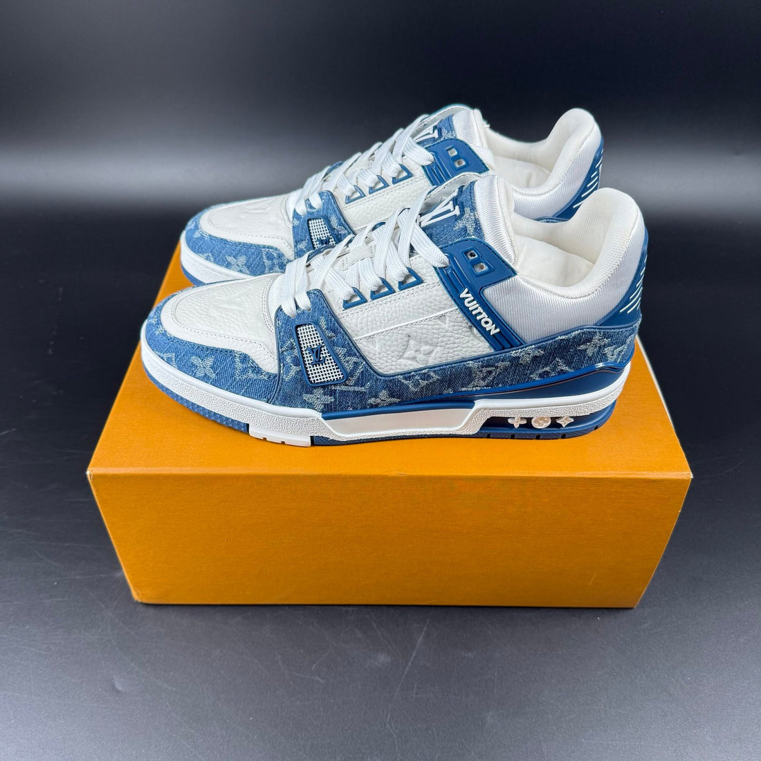 LV TRAINER