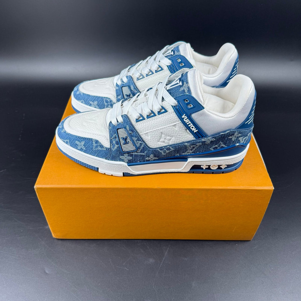 LV TRAINER