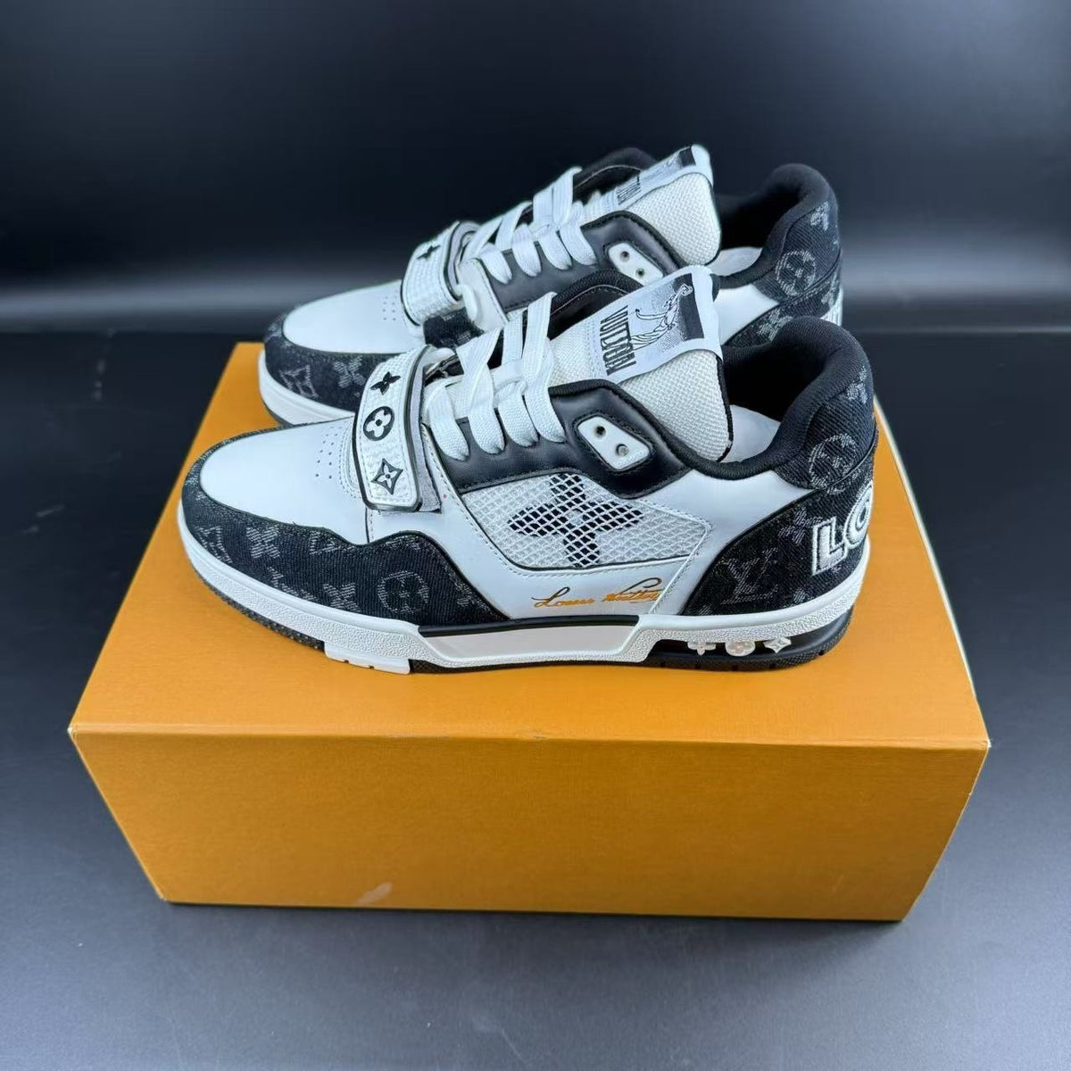 LV TRAINER