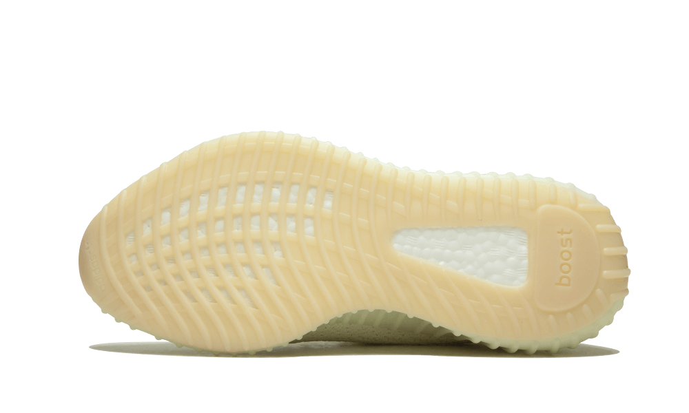 YZY– 350 V2