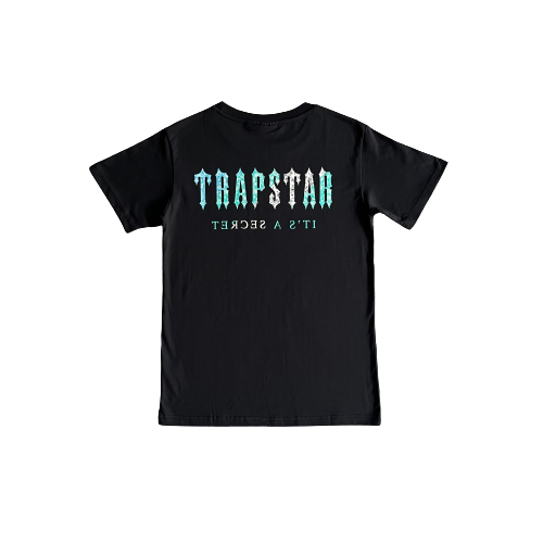 T-SHIRT PALSLEY IN IRONGATO