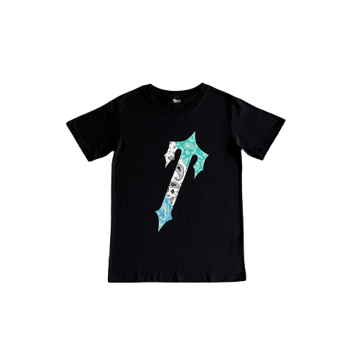 T-SHIRT PALSLEY IN IRONGATO
