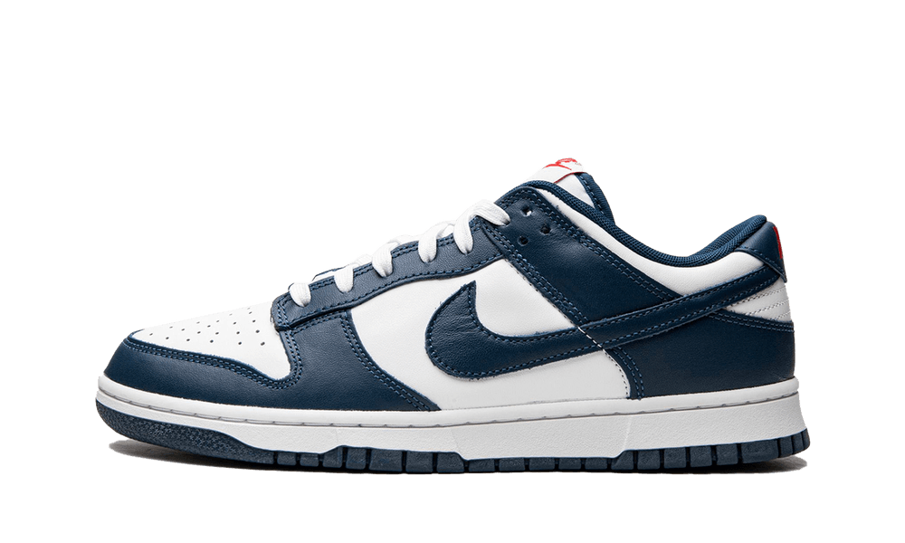 DUNK LOW
