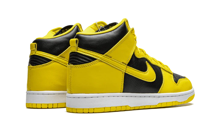 DUNK HIGH