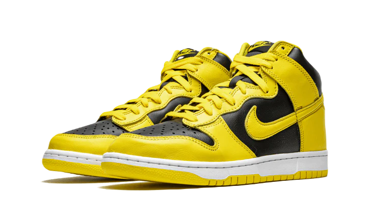 DUNK HIGH