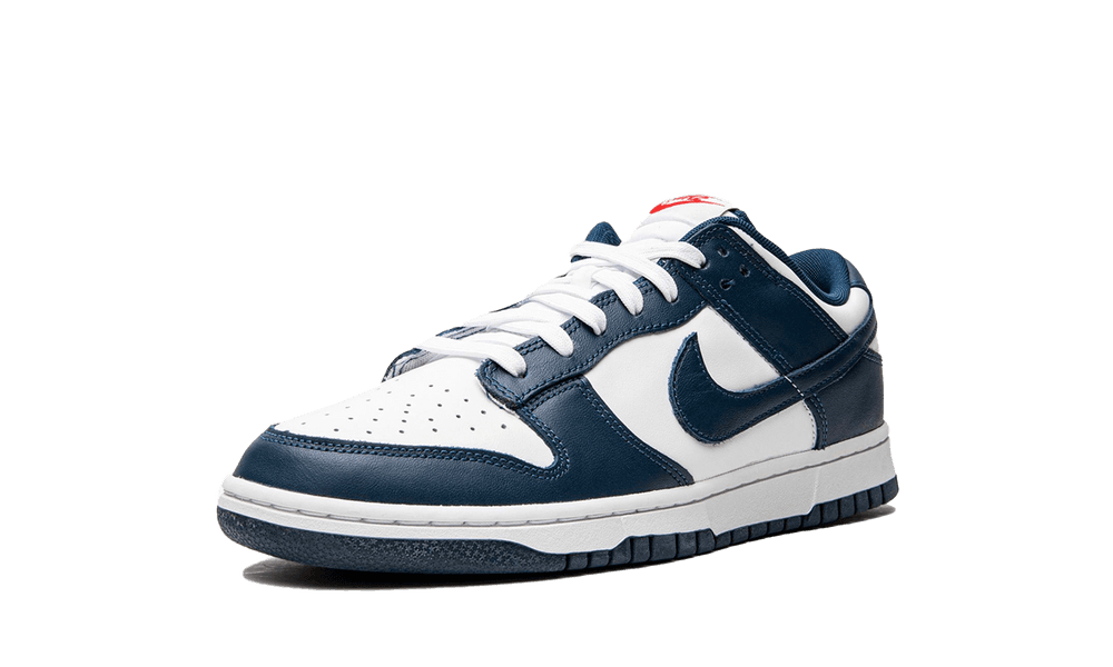 DUNK LOW