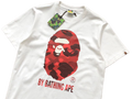 MAGLIETTA BP