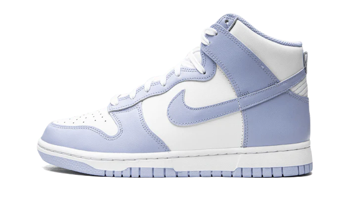 DUNK HIGH