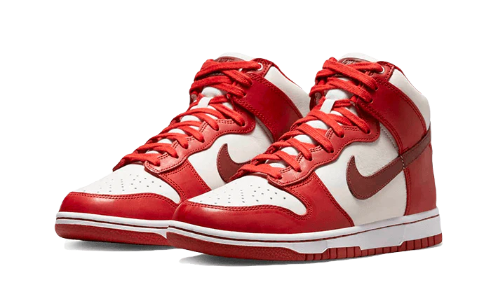 DUNK HIGH